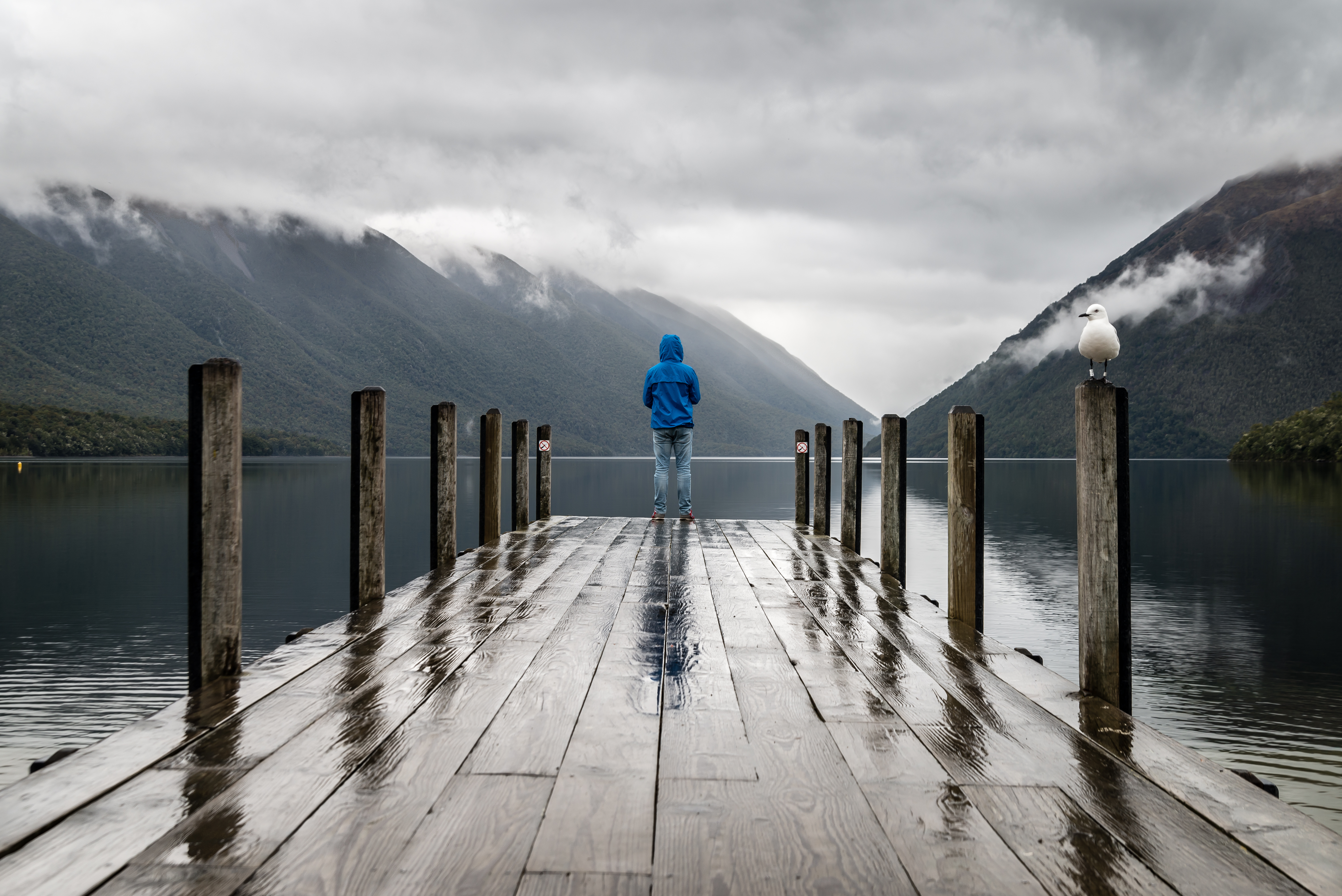 Devotion for Sunday, June 10, 2018