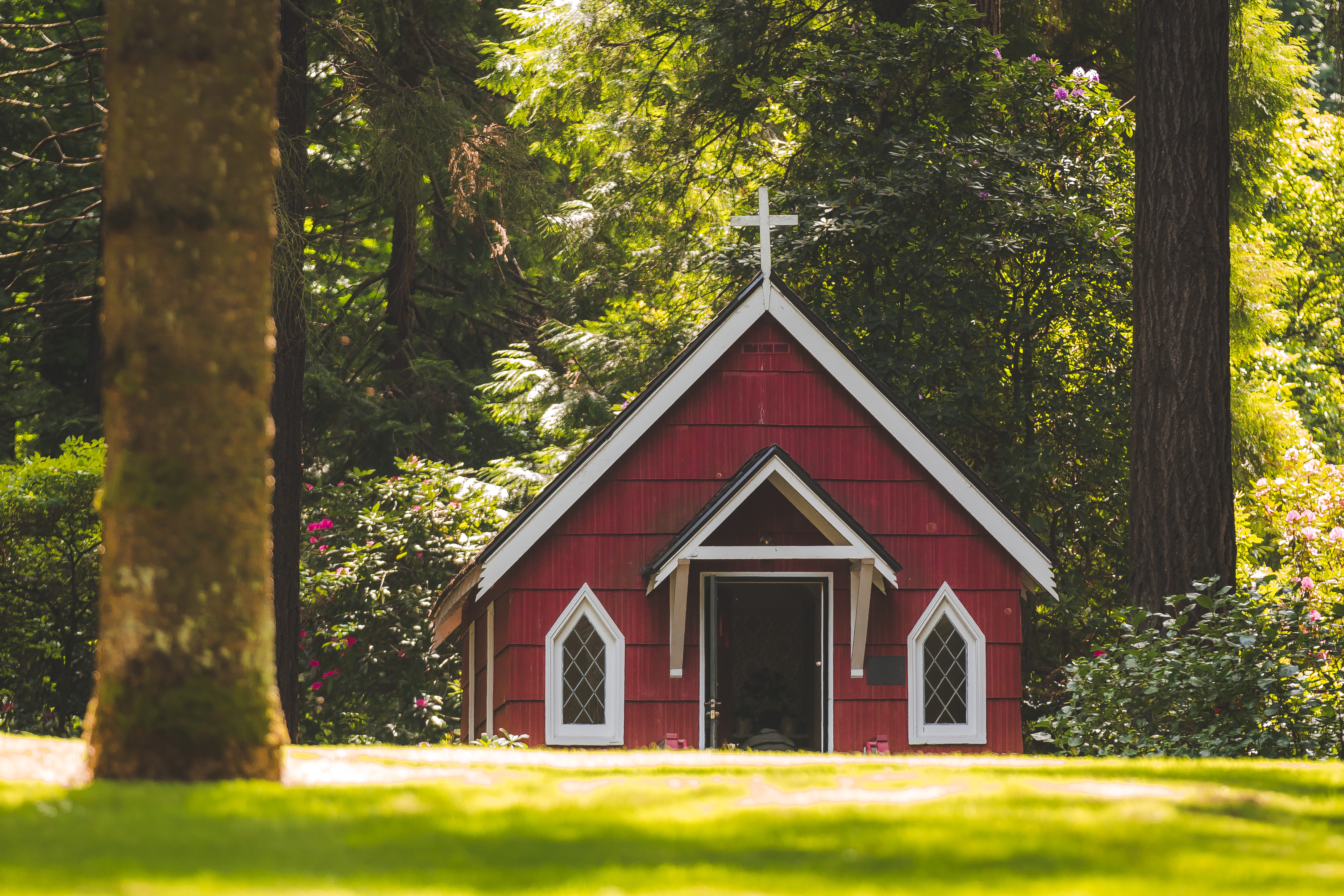 Prayers of the Church, August 5, 2018 (11 Pentecost, Proper 13, Cycle B)