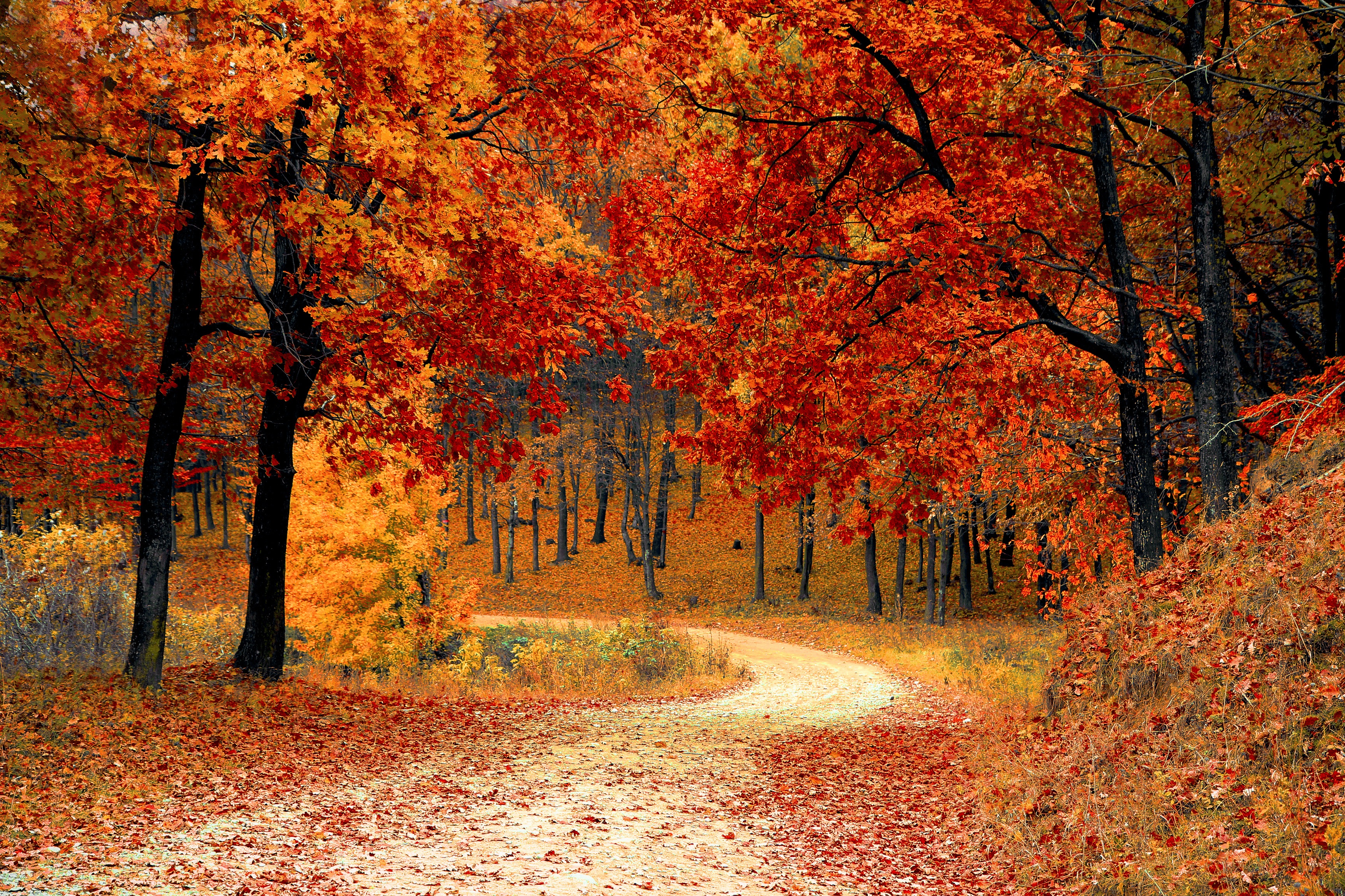 Devotion for Monday, October 1, 2018