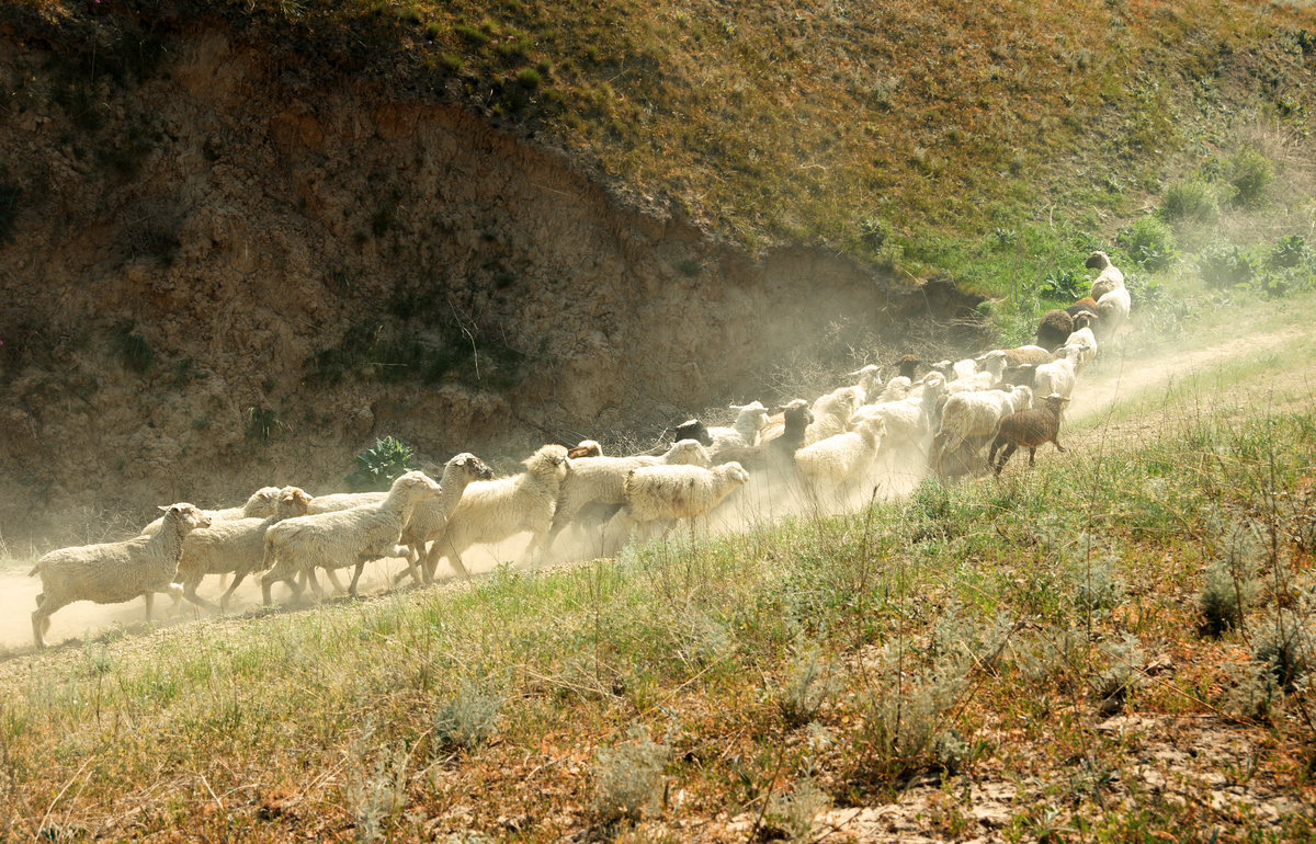 Devotion for Thursday, April 2, 2020