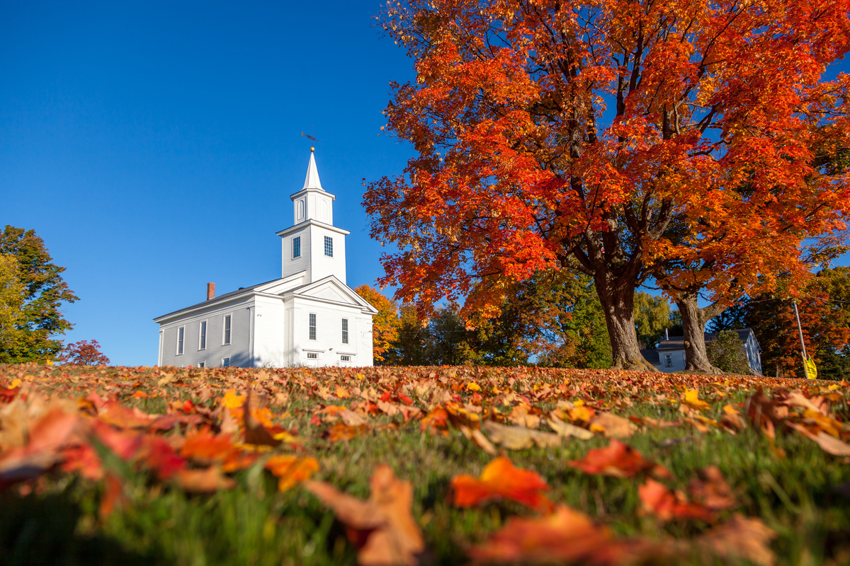 November 2021 Newsletter