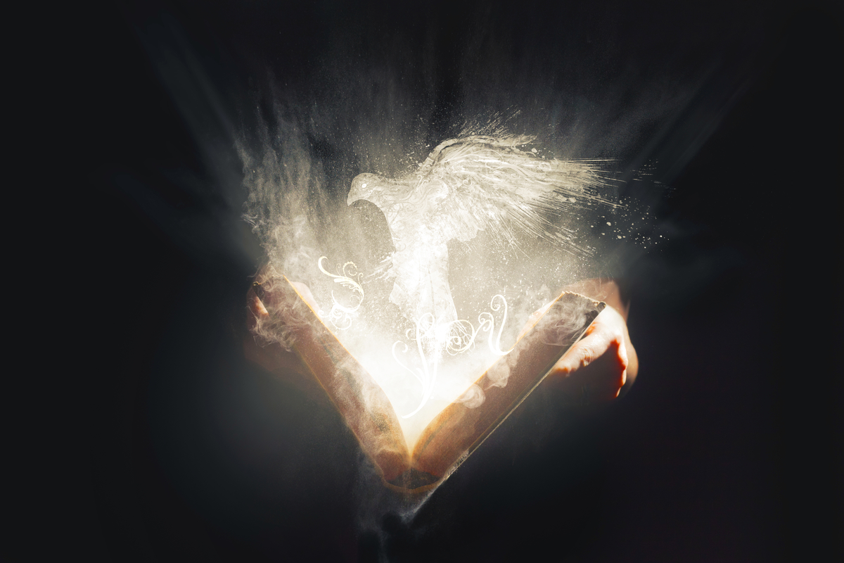 Devotion for Sunday, February 13, 2022