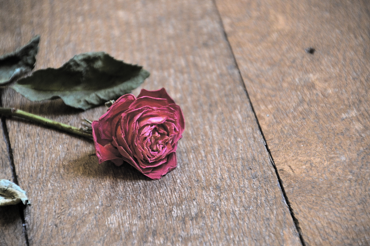 Devotion for Tuesday, August 30, 2022