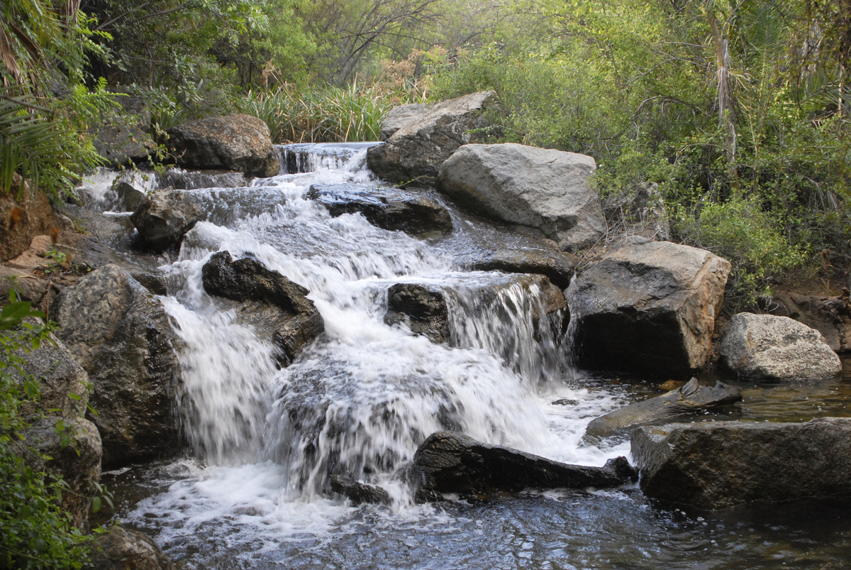 Devotion for Saturday, February 4, 2023