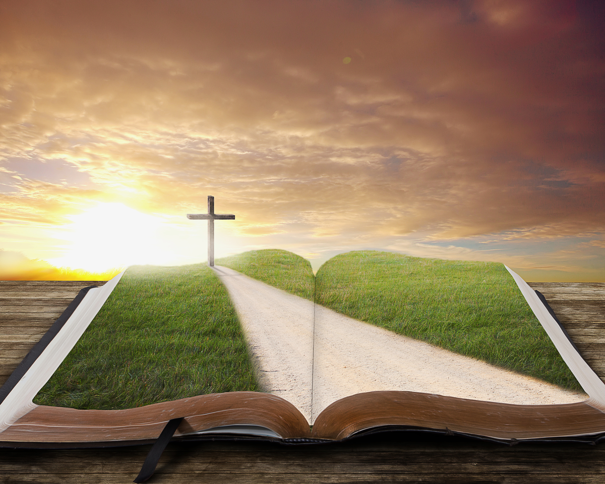Devotion for Friday, August 4, 2023