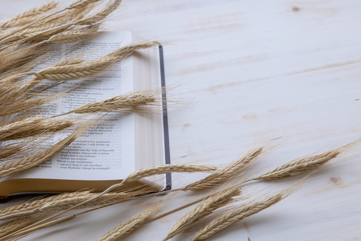 Devotion for Saturday, August 26, 2023