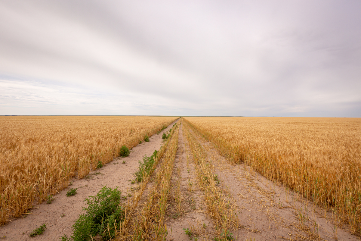 Devotion for Sunday, August 27, 2023