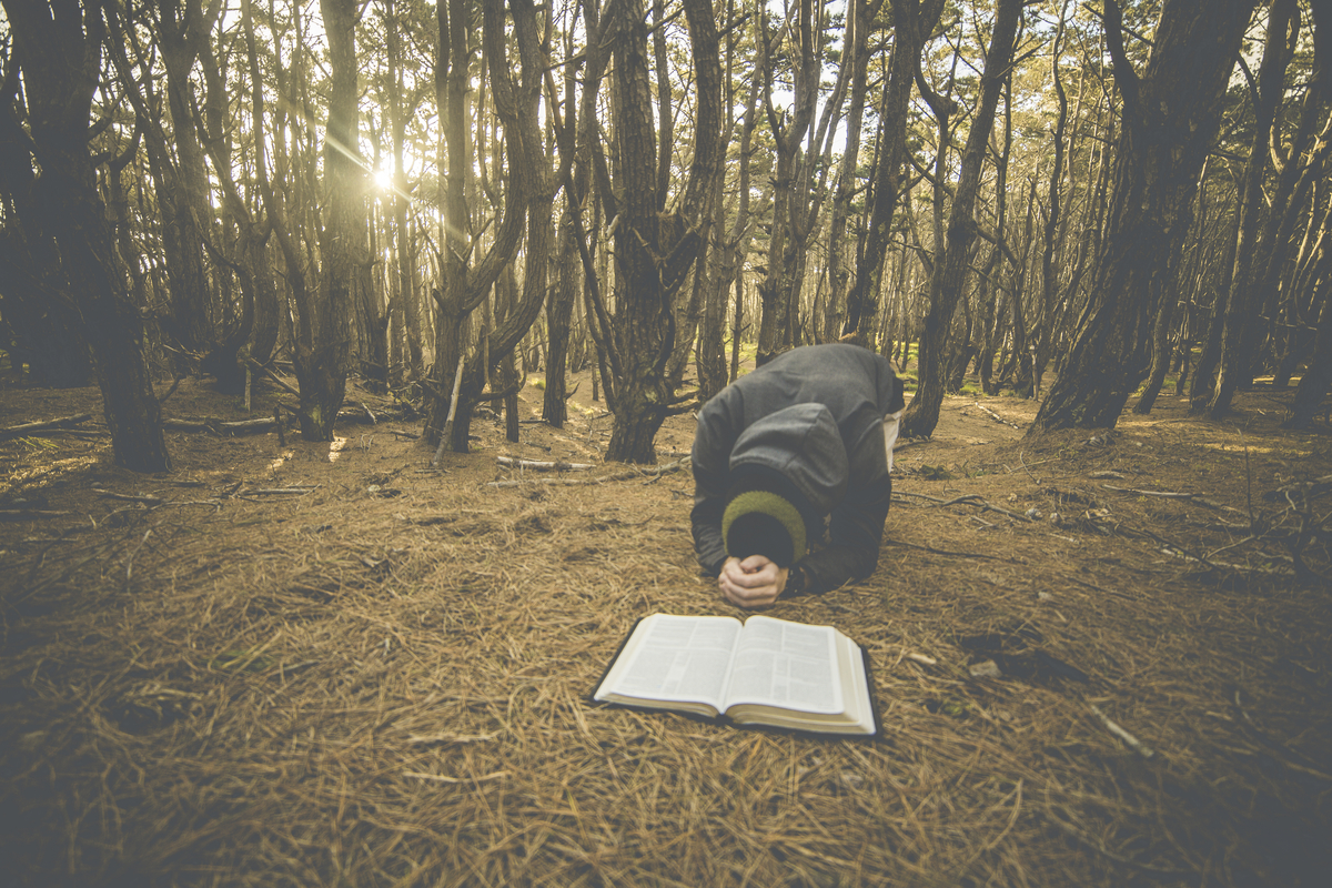 Devotion for Thursday, January 11, 2024