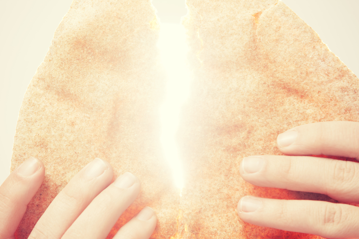 Devotion for Wednesday, January 31, 2024