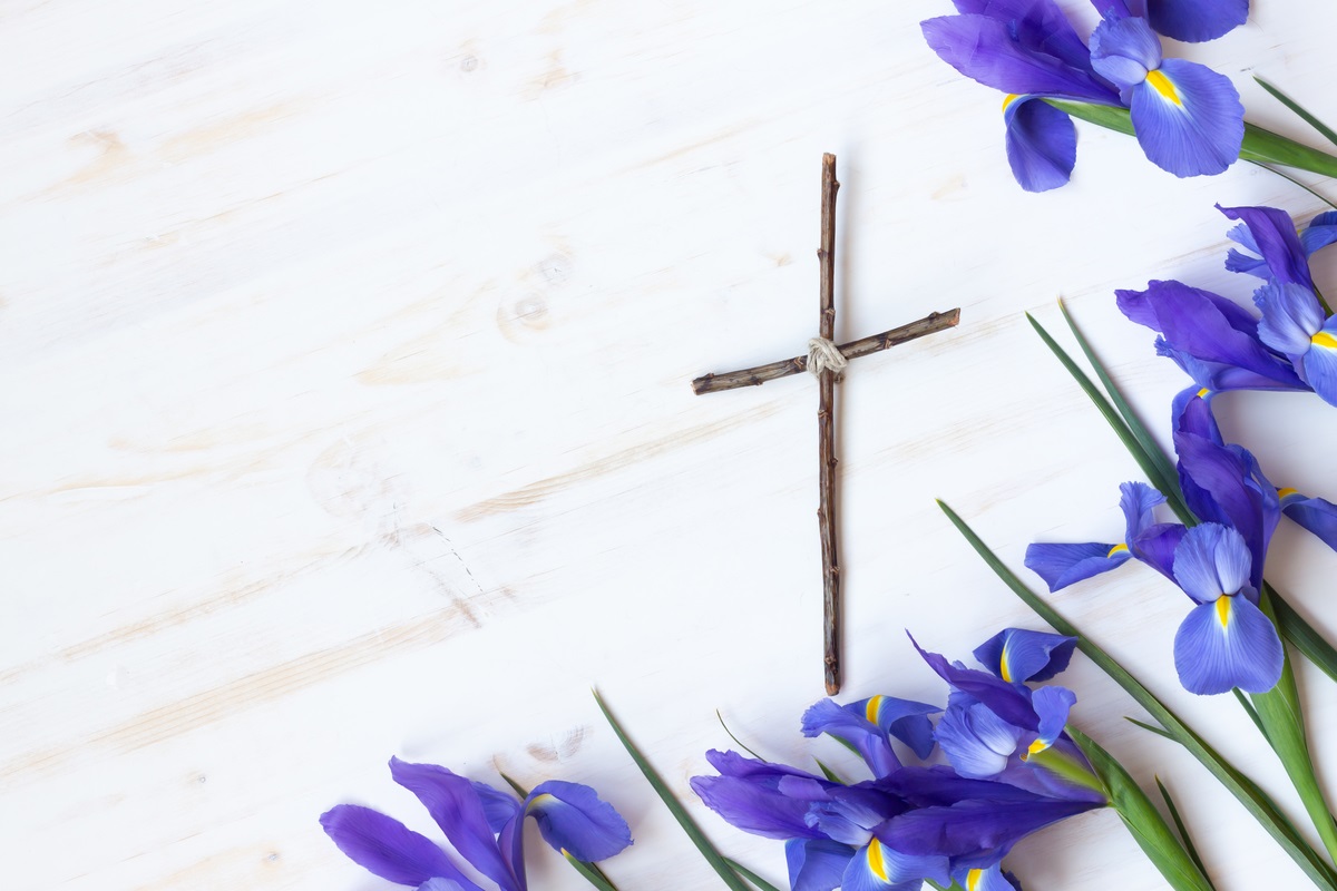 May 2024 Newsletter