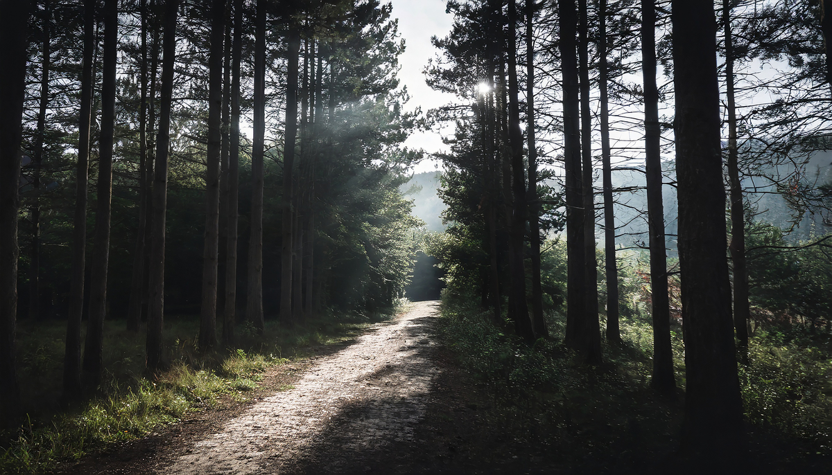 Devotion for Wednesday, May 15, 2024
