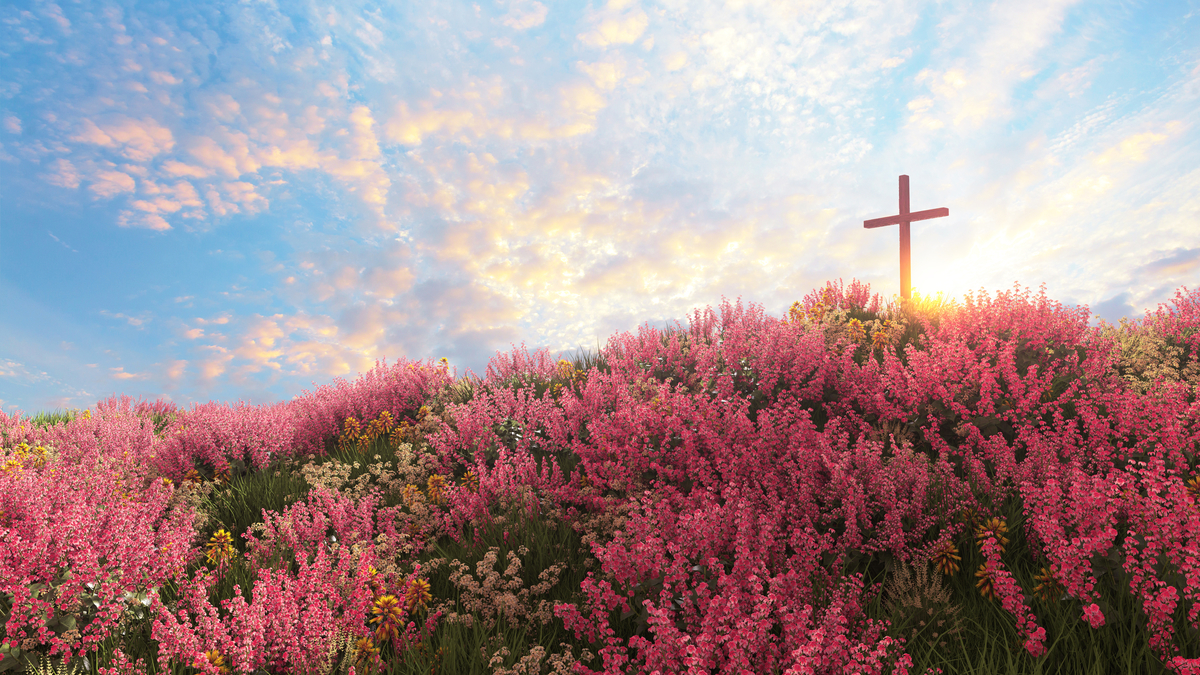 July 2024 Newsletter