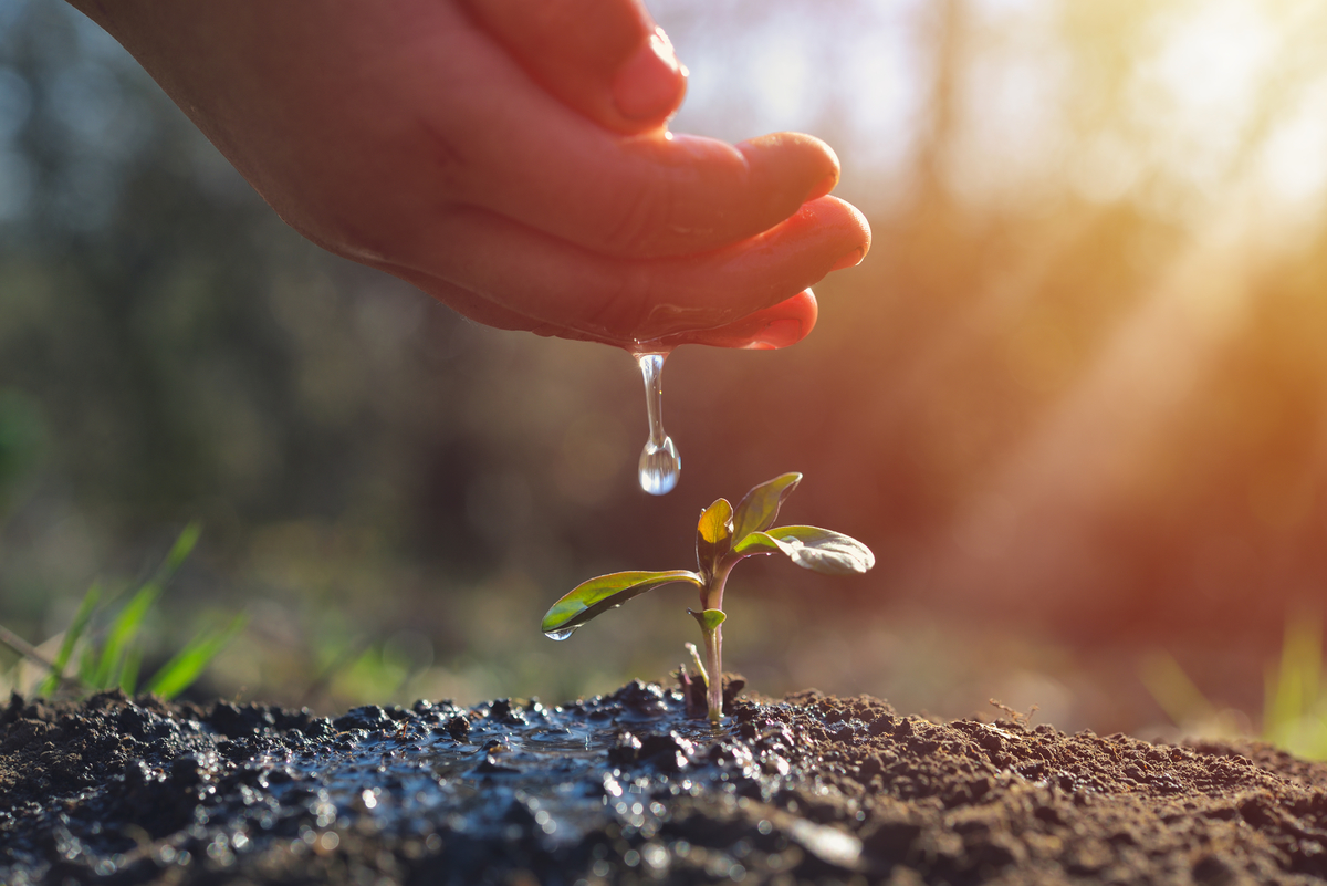 Devotion for Wednesday, June 11, 2025