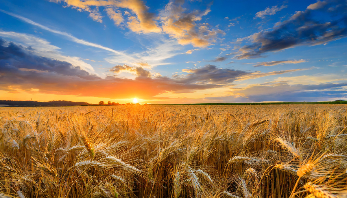 Devotion for Tuesday, June 24, 2025