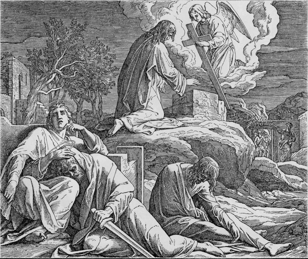 Devotion for Wednesday, July 9, 2025