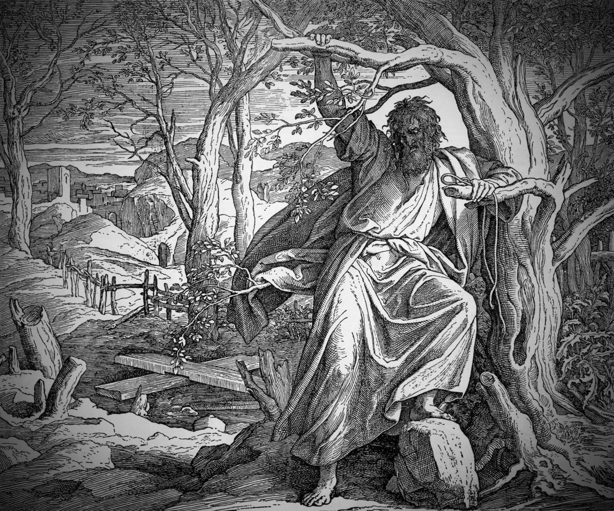 Devotion for Sunday, August 3, 2025