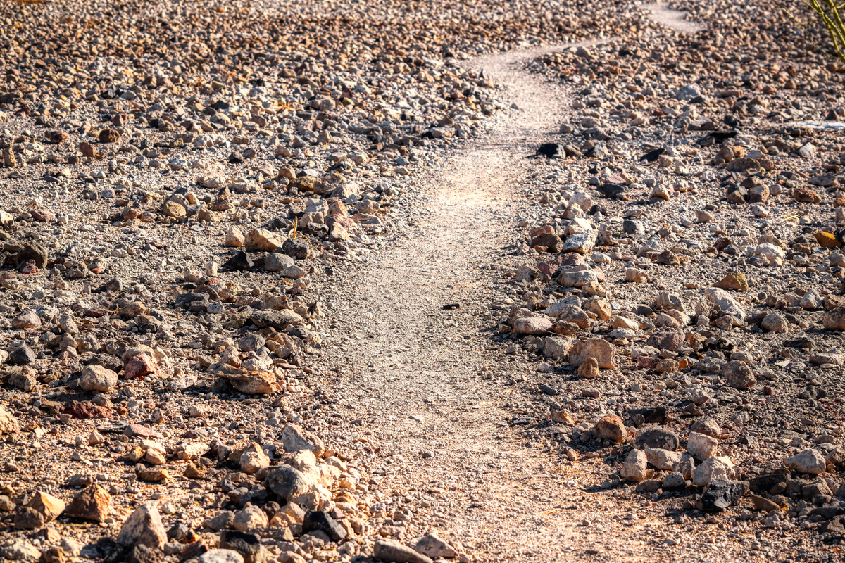 Devotion for Sunday, August 10, 2025